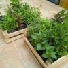 Caja de 12 hierbas medicinales - Imagen 2