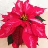 Flor de Nochebuena chica - 3pz - Imagen 6