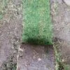 Pasto alfombra en rollo 4mtsx30cm - Imagen 2